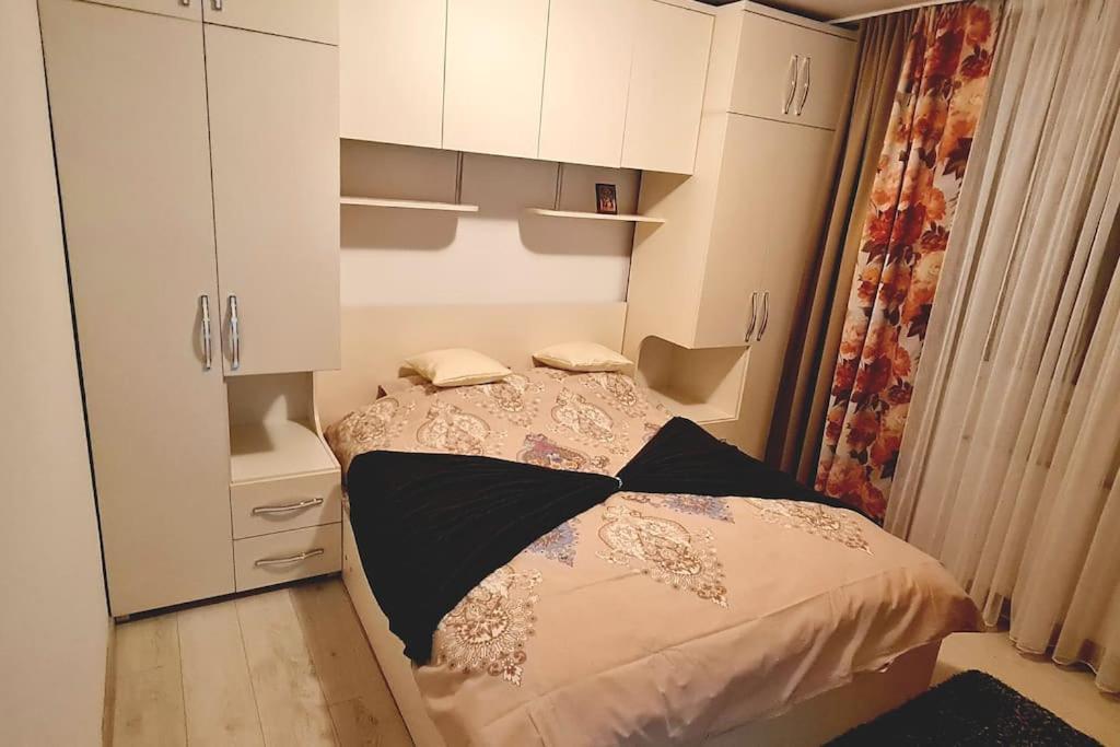 Apartament Violeta กูรา ฮูมอรูลุย ภายนอก รูปภาพ