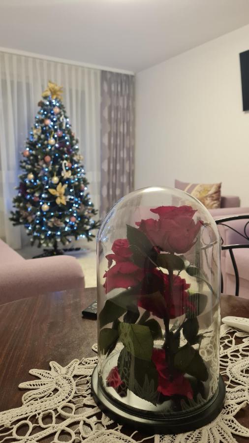 Apartament Violeta กูรา ฮูมอรูลุย ภายนอก รูปภาพ